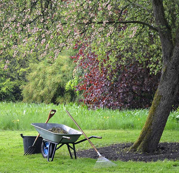 Gartenpflege ganzjährig Schubert Garten- und Landschaftsbau