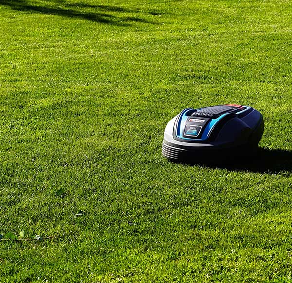 Rollrasen verlegen Schubert Garten- und Landschaftsbau