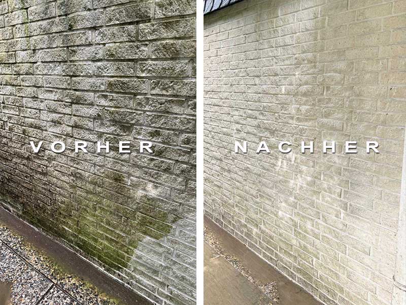 Fassadenbekleidung Schubert Garten- und Landschaftsbau